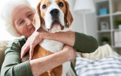 Exploring Socialization and the Role of Pets in Senior Happiness