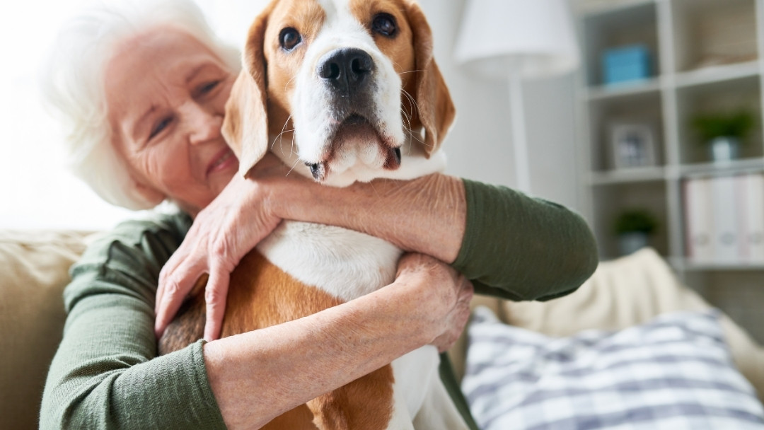 Exploring Socialization and the Role of Pets in Senior Happiness